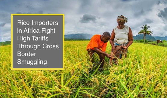 Rice Importers in Africa Face New Challenges