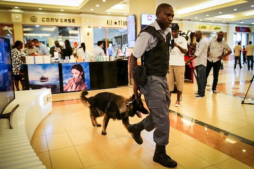 Security Industry Africa