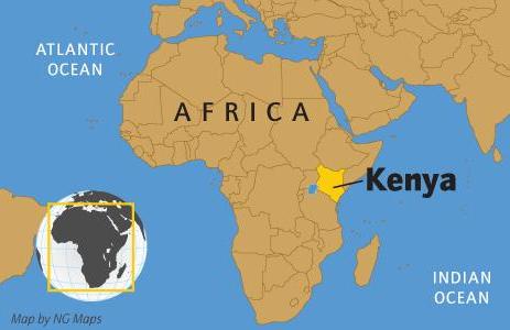 The Pharmaceutical Industry in Kenya: Importers in Kenya