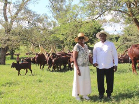 Uganda allots 27 square miles of land to UAE investor
