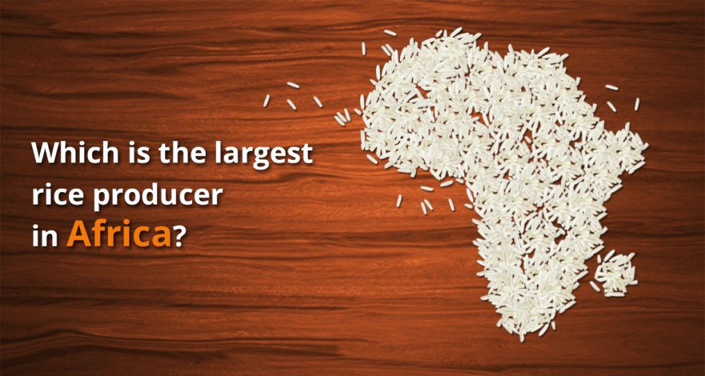 India, China poised to capture the market for rice in Africa