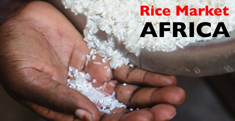 Export Rice to Africa: Indian Exporters Face New Challenges